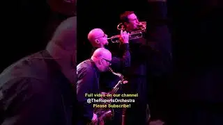 Amazing Horn Section!