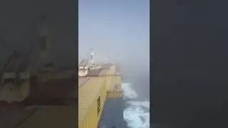 Судно в тумане #shorts #reels #шортс #life #sea #travel #море #моряк #мир #fog
