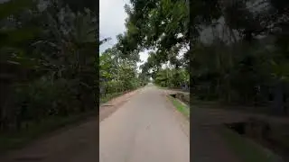 Beautiful rural road in Sri Lanka #travel #srilanka #love