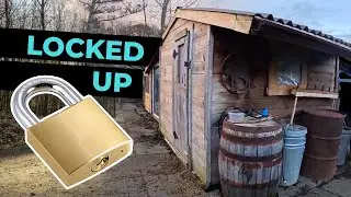 Farm Life Gone Wrong: Locked in the Coop Twice and a Missing Barn Cat