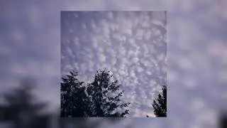 cloudscasino - hesitation