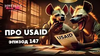 про USAID | Hyenas lunch club подкаст 147