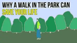 Why a Walk in the Park Can Save Your Life