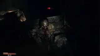 Dying Light: The Beast RAGE 2