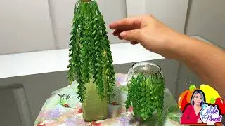 Planta Colgante con silicona caliente 🔥