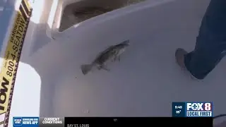 Big Fish Report: Catching Speckled Trout