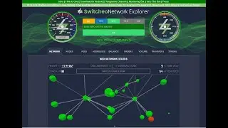 Switcheo Explorer - Tutorial