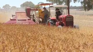 AL Harvester pulled by W30 McCormick Deering tractor