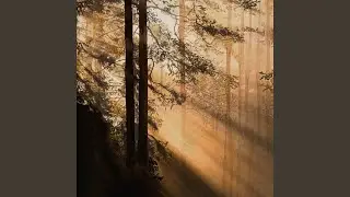 All The Broken Souls (The Ambient Chill Edit)