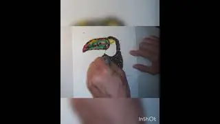 Arte, desenho usando cola colorida