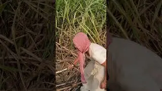 #bhojpuri #comedy ukh wala video