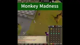Monkey Madness - Grinderscape RSPS