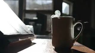 Chill Coffee Shop Jazz | Perfect Background Music for Cafes & Venues