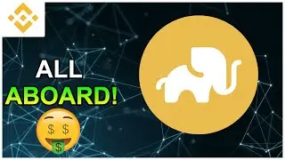 Elephant Money - Making GAINS with STAMPEDE