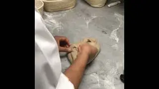 Shaping Sourdough bread loaf 🥖 #realbread #sourdough #qatarliving #sourdoughstarter
