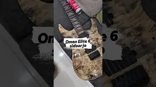 SCHECTER ELITE 6 OMEN | Packing