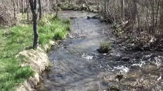 Ranch House and Upper Main Spring 2014 Bighill Creek