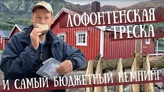 Бюджетный кемпинг на Лофотенах: обзор Brustranda Fjordcamping