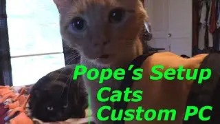 SergeantPope's Setup - Cats, Custom PC, Tech