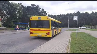 MPK Włocławek - Solaris Urbino 12 II #509 (linia nr 8) 🎵ZF🎵