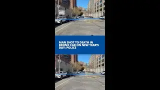 Man shot to death in Bronx car on New Year's Day: police