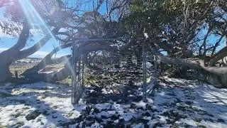 Parks Deception, Mt Jim Trap yard, Bogong High Plains, Saturday 21st May 2022.