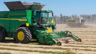 XXL NEW ZEALAND Grass Seed Harvest