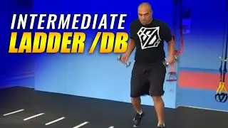 Part 2 Ladder series (Intermediate)