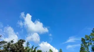 The nature in my phone।। Photos taken by realme C17.