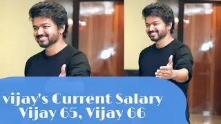 தளபதி விஜயின் தற்போதிய சம்பளம் | Vijay 65 | Vijay 66 | Pocket Cinema News