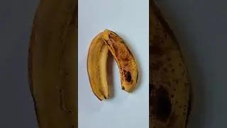 Banana carving ideas #shorts #viralvideo #trending #shortvideo #satisfying #creative #youtubeshorts