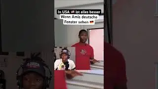 Americans 🇺🇸 reagieren auf deutsche 🇩🇪 Fenster
