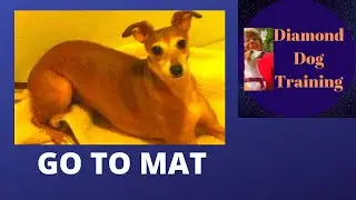 Teach Your Dog To Go To His Mat and Settle