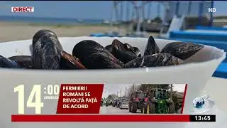 Alertă alimentară: Pești din Marea Neagră contaminați cu microplastic