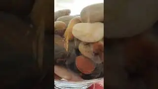 Dekor vjeshte