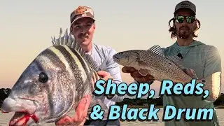 Insane Day of Inshore Fishing in Savannah Georgia | Catch, Clean, Cook | Redfish Grilled Cheese