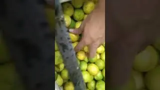Fresh Lemon Soda  // Food Vlog