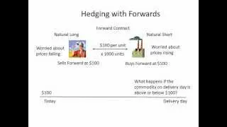 Hedging with Forwards
