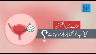 Bladder Infection prevention | Simple habits for better urinary health | Shifa News