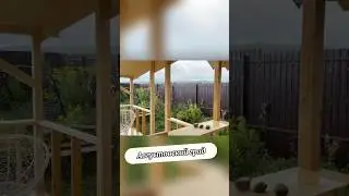 Августовский град #nature #music #rain #rainyday #дождь #ливень #дождик #природа #дача #сад #garden