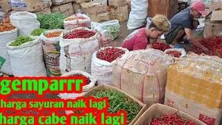5 peb 2026 hari ini semua jenis cabe dan sayuran naik #pasar induk cibitung