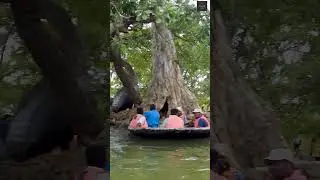 🌊 The Niagara of South India 🌴🏞️🌊 | CCbyVP | #shorts #viralvideo #vlog