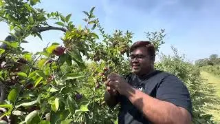 Canada Apple Garden&hellip; Study in Canada with @idealoverseaseducation 