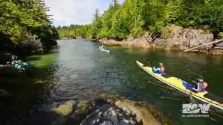 Sea Kayaking with Orcas | Wildlife Adventures in British Columbia