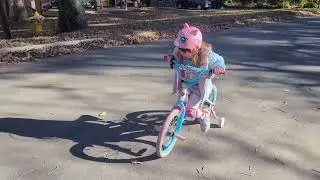Lineia Bike 