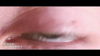 DRED - SPOOKYBOYZ