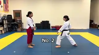 Advanced  &ndash; Self-Defense/ Feb/Aug testing