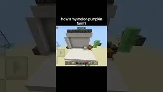 How&rsquo;s my melon pumpkin farm