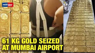 61 kg Gold Valued At Rs 32 Crores Seized At Mumbai Airport