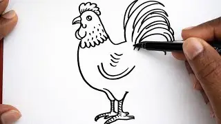 How to Draw a Realistic Rooster | Pencil Drawing Lesson